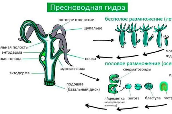 Kraken что это за сайт