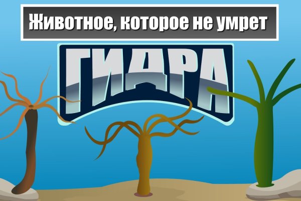 Кракен марке даркнет