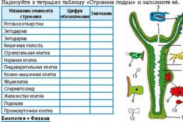 Как зайти на кракен через тор