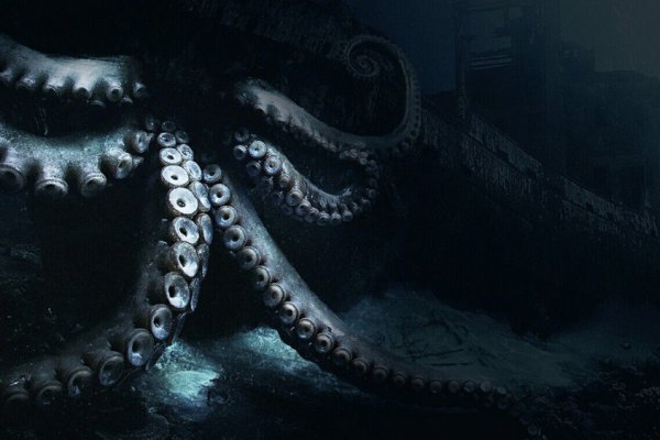 Kraken рынок